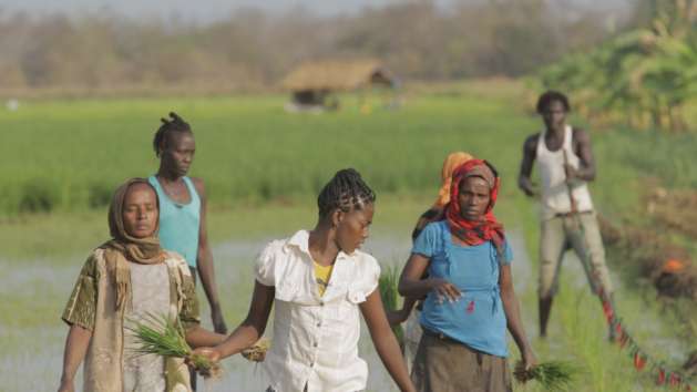 Women working on a rice farm in Ethiopia. Credit: WG Film