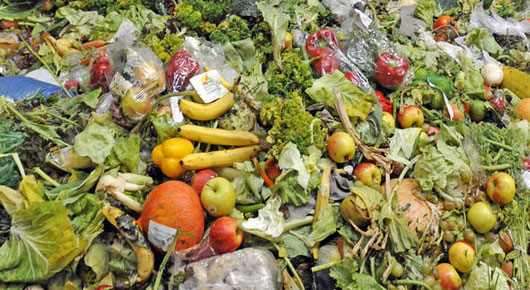 Food waste has become a dangerous habit: about 1/3 of the food we produce globally (1.3 billion tonnes of the food every year) is lost or wasted