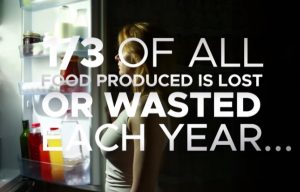 Food waste has become a dangerous habit: about 1/3 of the food we produce globally (1.3 billion tonnes of the food every year) is lost or wasted