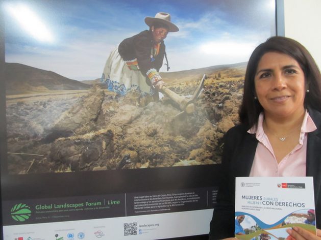 FAO representative in Peru María Elena Rojas sits in her office in Lima, in front of an image of an Andean woman plowing the land and holding a document with a significant title: "Rural women, women with rights". Credit: Mariela Jara / IPS