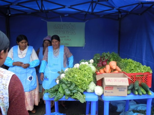 Women farmers in the rural town of Tapila Florida, in the Bolivian department of La Paz, sell their freshly harvested produce at a collective storage and trading centre, thanks to support from the Centre for Training and Service for Women’s Integration to develop agroecology. Credit: Courtesy of Cecasem