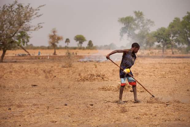 World Food Day - Land degradation, a reason for rural people to migrate, is a prominent problem in Senegal. Photo: M. Mitchell/IFPRI.
