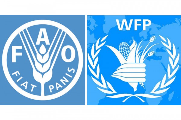 FAO, WFP reaffirm their commitment to working for Zero Hunger in the Middle East