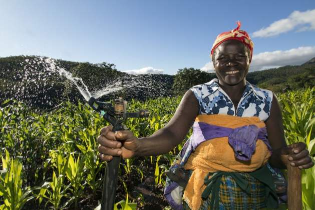 World Food Day - Water availability and improved water management can significantly help smallholder farmers produce more and better food, as this farmer shows in Eastern Highlands on the Mozambique border, where she uses a sprinkler system to irrigate her farm. Photo: David Brazier/IWMI.