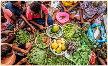 Climate-Smart Agriculture in Vanuatu: Learning to Grow