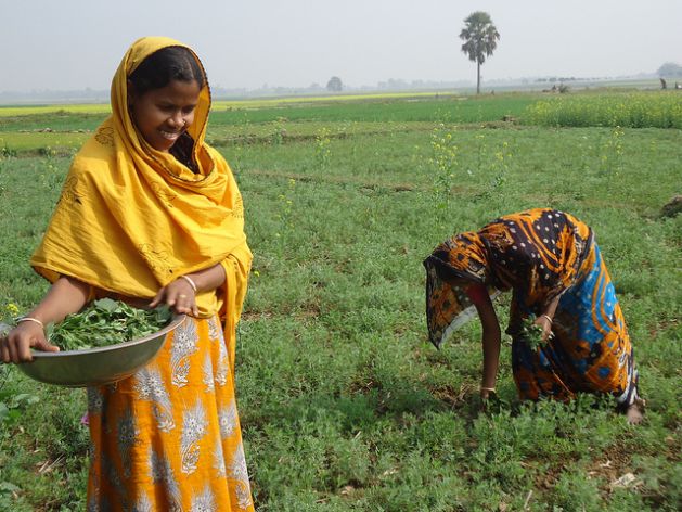 Women farmers clearing farmland in Northern Bangladesh. Credit: Naimul Haq/IPS
