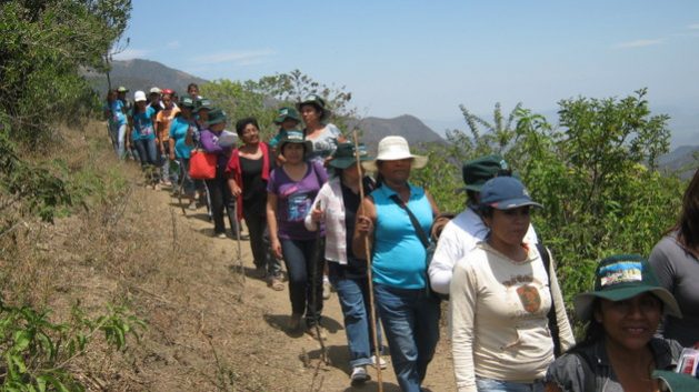 Under the hot sun of the Pacific Ocean coast, in the department of Piura, 25 women farmers undergoing training in the Agroecological School return from a technical assistance activity in the province of Morropón, in northern Peru. Credit: Courtesy of Sabina Córdova