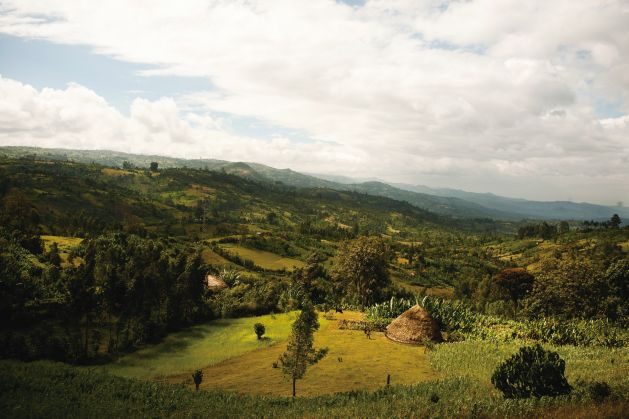 Ethiopia's Green Growth Goals: A Launchpad for Wider Climate Action in Africa