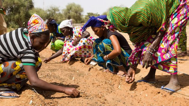 By 2030 the ambition is to restore 100 million hectares of currently degraded land and sequester 250 million tons of carbon. Credit: Greatgreenwall.org