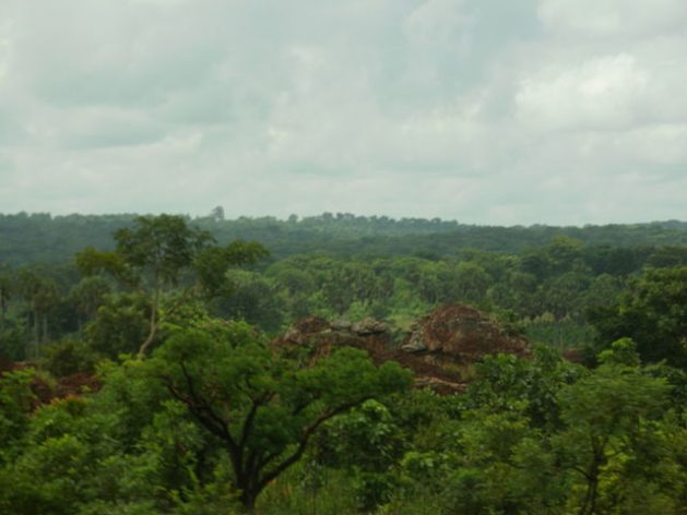 Forested hills in Guinea’s Kintampo area. Credit: CC by 3.0