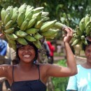 Caribbean Climate Wire Caribbean Climate Wire