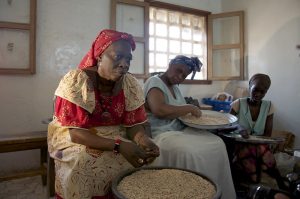 A small but growing number of women are heading up agribusinesses in Africa, some of which are producing innovative products to combat malnutrition. Credit: Jeff Haskins/IPS