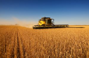 Land grabbing - One of the lingering effects of the food price crisis of 2007-08 on the world food system is the proliferating acquisition of farmland in developing countries by other countries seeking to ensure their food supplies. Credit: Bigstock