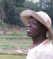 UNEP says farmers like this Cameroonian must fertilise, mechanise and technologise to achieve food security for Africa. / Credit: Fanny Pigeaud/IRIN