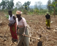 The lives of rural women are changing thanks to the new credit scheme, says govt. / Credit: Aimable Twahirwa/IRIN