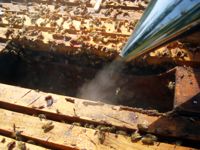 Bees too feel
the impact of the Israeli assault. / Credit:Eva Bartlett/IPS