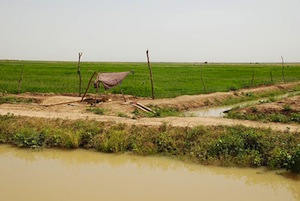 The Mauritanian government is turning to several new approaches to agriculture, including expanded irrigation schemes. Credit: BertramzWikicommons The Mauritanian government is turning to several new approaches to agriculture, including expanded irrigation schemes. Credit: BertramzWikicommons