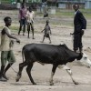 Children are abducted during cattle raids in South Sudan. Credit: Charlton Doki/IPS