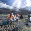 Innovation at the service of food production in Mexico.  Credit: Mauricio Ramos/IPS