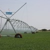 Irrigated field in Kakamas, South Africa. Credit: Patrick Burnett/IPS