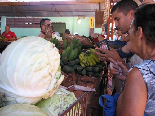 In Cuba's farmers markets, produce is sold according to the laws of supply and demand. Credit: Patricia Grogg/IPS