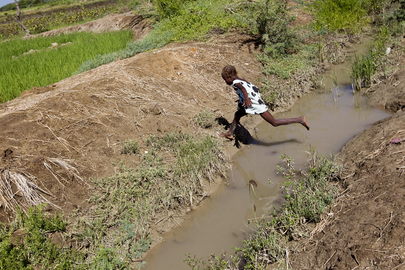 A young child is seen crossing one of the canals of the Artibonite River, identified as the source of the cholera outbreak. Credit: UN Photo/Sophia Paris
