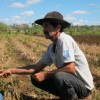 Jorge Medina practices integrated, diversified farming on land near Havana.  Credit: Ivet González/IPS