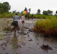 Environmental damage in the Niger Delta. Credit: Dulue Mbachu/IRIN