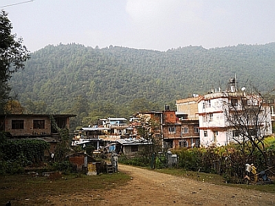 Godavari village expects to claim the UNFCCC's REDD plus carbon funds.  Credit: Keya Acharya/IPS
