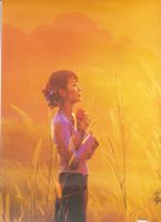 A poster of "The Lady". Credit: IPS.