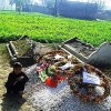 Slain soldier Najibullah