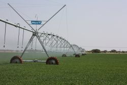 Agriculture accounts for over 70 percent of water use in Argentina. Credit: Patrick Burnett/IPS