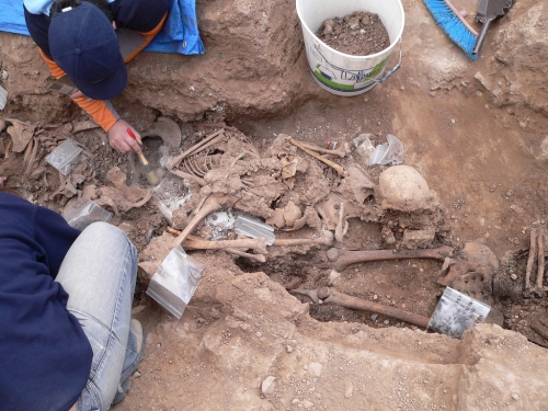 Remains of Franco-era victims unearthed in Zaragoza, Spain.  Credit: Association for the Recovery of the Historical Memory