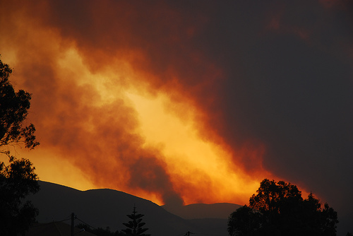Worldwide, fires burn an estimated 350 to 450 million ha of forest and grasslands every year - an area larger than India. Credit: Carl Osbourn/CC BY 2.0