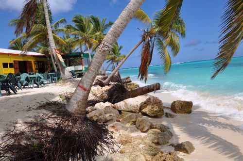 Gwen's Reggae Bar at Shoal Bay Beach is now just feet from the waterline.  Credit: Desmond Brown/IPS