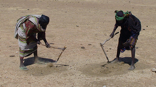 Oxfam International says that in Tassino, a village in Chad, women are breaking apart anthills, searching for grain stored there by ants. Credit: Irina Fuhrmann/Oxfam
