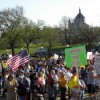 Tea Party protestors at the Minnesota Capitol in 2010. They called for smaller government and the repeal of Obama's healthcare law. Credit: Fibonacci Blue/ CC by 2.0