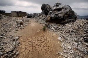 Prolonged drought can mean desertification. Credit: Mauricio Ramos/IPS