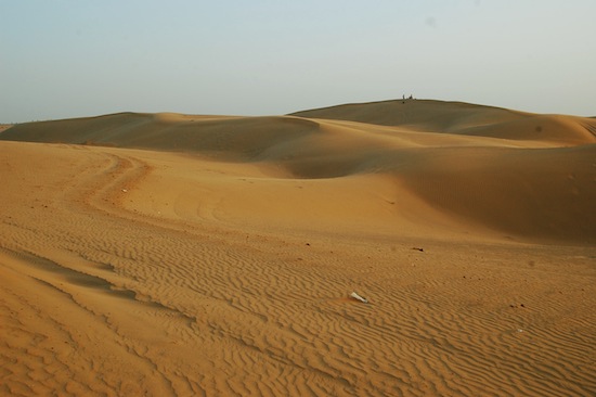 These sand dunes in the Thar Desert in India are one of identified sites for cheetah reintroduction. Credit: Malini Shankar/IPS Credit:  Malini Shankar/IPS