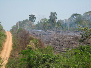 Deforestation in Brazil's Amazon jungle has slowed down in the past few years. Credit: Mario Osava/IPS