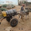 Donkey carts are a crucial element in Mogadishu's water distribution system. Credit:  Abdurrahman Warsameh/IPS