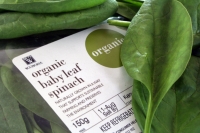 Organically grown baby spinach Credit:  Johan Eybers/IPS