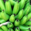 Bananas can be a valuable export crop. Credit:  Busani Bafana/IPS