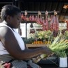 Given access to no more than water & a piece of land, a group of women is growing abundant vegetables in a Bulawayo neighbourhood. Credit:  Anthony Kaminju/IRIN