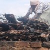 A woman roasts mugongowazi, or fish heads and bones, on the Ugandan side of Lake Victoria. Credit:  Wambi Michael/IPS