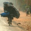 A Congolese man transports charcoal on his bicycle outside Lubumbashi in the DRC. As a result of the global economic crisis, charcoal prices have also shot up. Credit:  Miriam Mannak/IPS