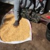 Food aid: meeting nutritional needs in the South, or disposing of subsidised grain from the North? Credit:  Manoocher Deghati/IRIN
