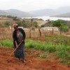 Long-term adaptation strategies are needed to protect the food security and livelihoods of Southern African farmers. Credit:  Kristin Palitza/IPS
