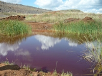 Containment pond at North Mara: villagers complain that water from the mine is affecting crops and livestock; Barrick says no water is discharged into the environment. Credit:  Chacha Wambura/Foundation HELP