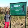 CA techniques have doubled Sinoya Phiri